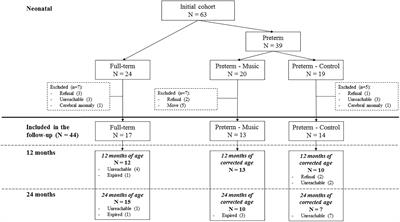 Effects of an Early Postnatal <mark class="highlighted">Music Intervention</mark> on Cognitive and Emotional Development in Preterm Children at 12 and 24 Months: Preliminary Findings